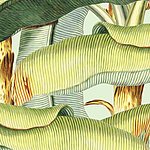 Beeindruckende Details - View 1