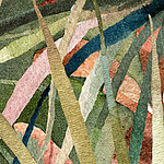 Formas de las plantas - View 1
