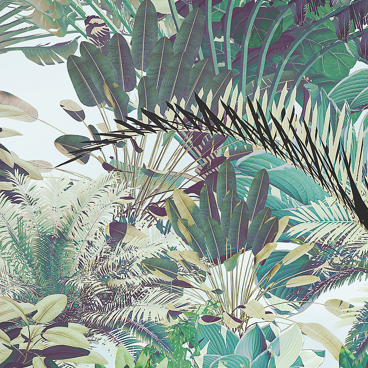 Tropical Heaven 2