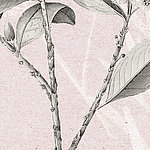 Rosa Hintergrund, grüne Blumenstängel - View 1