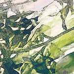 Abstract motif in green