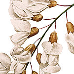 Flower branch beige