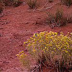 Beeindruckende Details - View 3