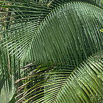 Impressive details - View 3