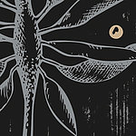 Outline of a flower at night - View 1