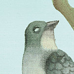 uccello - View 1