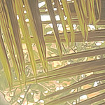 Hojas naranja - View 1
