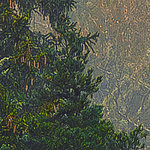 Detalles impresionantes - View 1