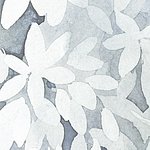 weiße Blüten