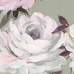 Nahaufnahme von weißer, gemalter Rosenblüte