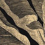 Hoja de palma - View 1