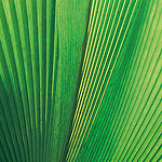 Beeindruckende Details - View 3