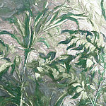 feuilles de plantes peintes