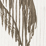 White lines and brown color spot - View 1