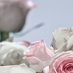 Beeindruckende Details - View 5