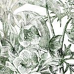 Gemalte Pflanzen in grüner Line Art Optik - View 1