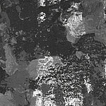 Black and white - View 1