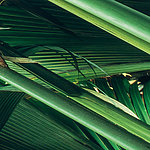 Beeindruckende Details - View 2
