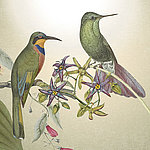 zwei grüne Kolibris