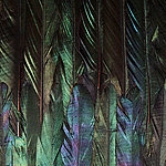 dibujo abstracto - View 1