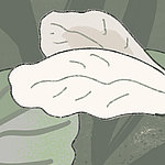 Todays Story Details - View 4