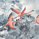Tropical red birds flying