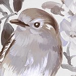 Oiseau peint avec plumes blanches