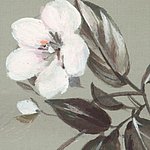 Painted white blossom