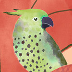 Verde uccello - View 1