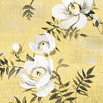 White flowers on yellow background