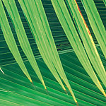 Beeindruckende Details - View 1