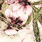 Motif floral rose-vert