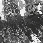 Black White Abstract - View 1