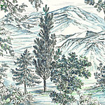 Trees of different sizes drawn in white mountain landscape