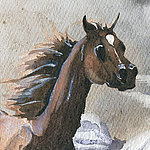 Cheval brun peint