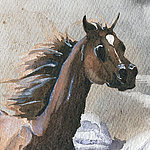 Painted brown horse