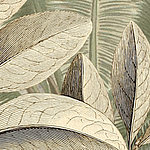 Untouched Nature Details Blätter