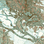 Árbol reflejado en el agua Abstracto - View 1