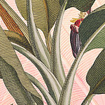 Tropical green leaves on a pink background
