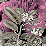 Detail of pink dinosaur with black and white plants