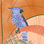 Uccello blu su pianta arancione - View 1