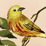 Pájaro amarillo en rama marrón