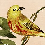 Yellow bird on brown branch