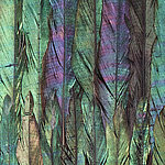 colorido - View 1