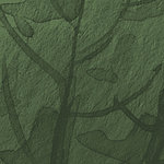 Fond vert et plante Vert - View 1