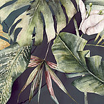 Monster leaves painted in watercolour optic