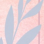 Blue leaves with pink background