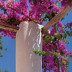 Beeindruckende Details - View 1