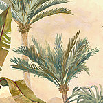 Drawn palm trees