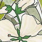 Fleurs blanches avec des tiges vertes